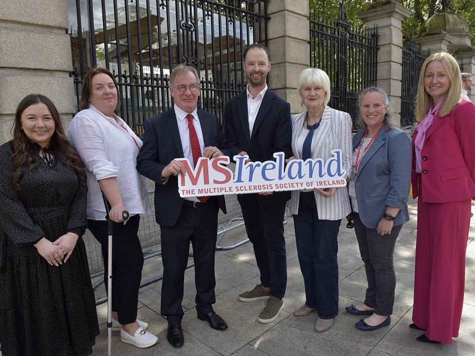 Seven people standing outside Leinster House, Dublin, holding an MS Ireland banner after a briefing with Oireachtas Members.
