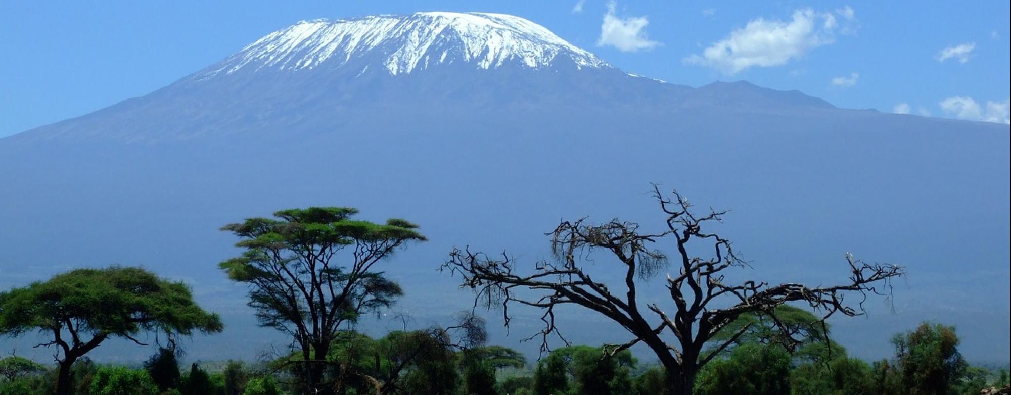 kilimanjaro